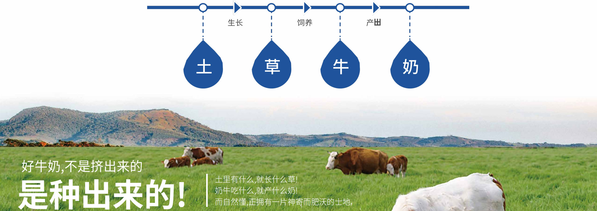 首頁招商輪播